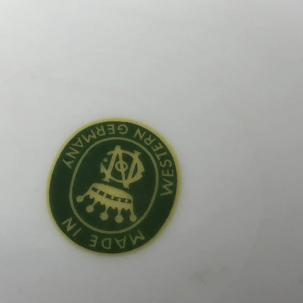 Vintage Niagara Falls NY Prospect Point Souvenir Plate Western‎ Germany 10